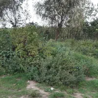 فروش زمین 3450متری
