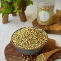 خرید گشنیز به صورت نقد