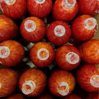 آب زرشک آلبالو انار آبمیوه طبیعی ذغال اخته شاتوت