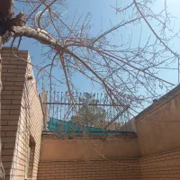 فروش-منزل-دوطفلان