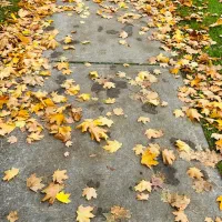 آپارتمان 90 متری مجتمع گلستان