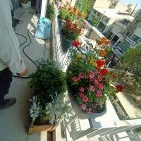 خدمات باغبانی خاک گلدان گل‌های آپارتمانی باغچه کار