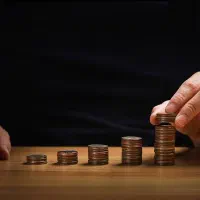 اظهارنامه های مالیاتی حقیقی و حقوقی