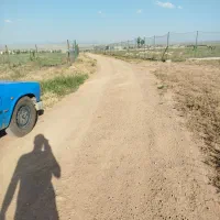 زمین باغی و ویلایی