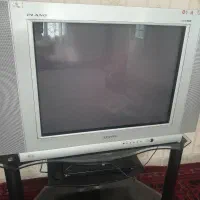 تلویزیون