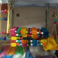تاب