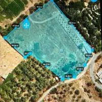 فروش زمین باغ