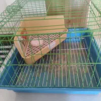 قفس خرگوش