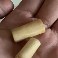 مهره اصلی خر