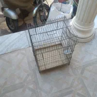 قفس|لوازم جانبی حیوانات|بندر گناوه, |دیوار
