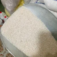 برنج پاکستانی درجه یک به شرط پخت و حتی مرجوعی