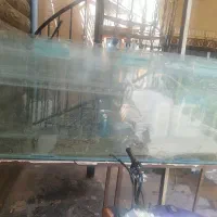 اکواریوم
