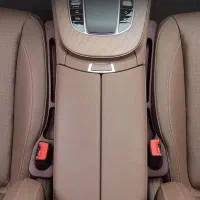 ارگانیزم شکاف بقل صندلی
