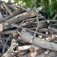 خریدار چوب به قیمت روز
