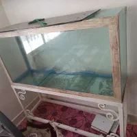 اکواریوم