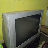 تلویزیون