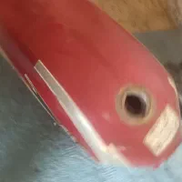 باک موتور