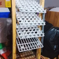 فروش دستگاه جوجه کشی