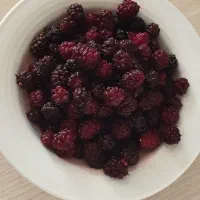 شاه توت درجه‌یک، تازه و درشت