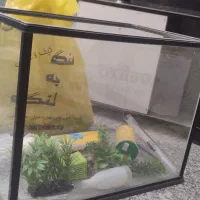 آکواریم