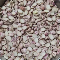 لوبیا چیتی سالم و شکسته