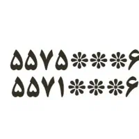 دوخط تلفن ثابت در محله هفت چنار