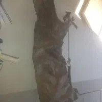 یک عدد مشک گوسفندی