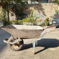 فرغون فرقون سالم ۲عدد