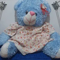 عروسک|اسباب‌بازی بچه|اصفهان, لاله|دیوار