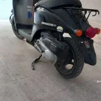 پاکشتی تودی درحد