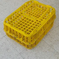 قفس مرغ و توری نگهداری مرغ