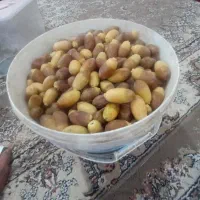 رطب استعمران
