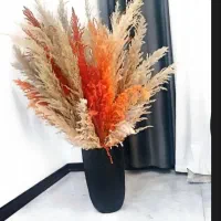 گل طبیعی