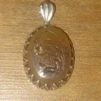 گردنی نقره