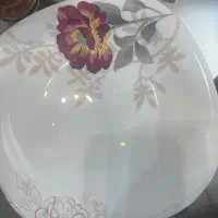 سرویس ارکوپال