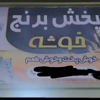 برنج فروشی خوشه