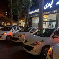 207 پانا دنده ای 405