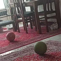 میز ناهارخوری سالم بدون شکستگی چهارنفره