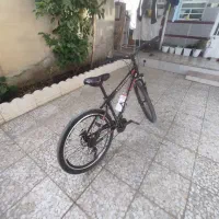 دوچرخه 26 ویوا برچسب دار نو