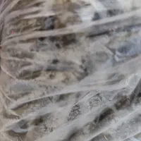 سبزی خوزستان بسته ی نیم کیلویی صد تومان