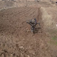 تیلر زنی باغات وزمین کشاورزی با تیلر 9/5