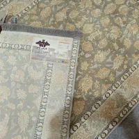 پادری|پادری|قرچک, باقرآباد|دیوار
