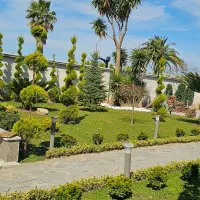 هرس کاج سمپاشی محوطه سازی طراحی