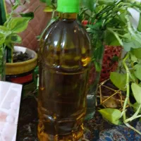فروش روغن زیتون رودبار