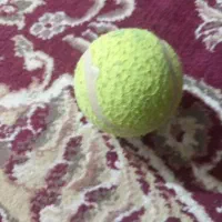 توپ تنیس و قاب گوشی