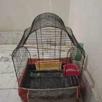 قفس پرنده