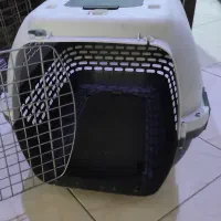 باکس بزرگ و پارک سگ