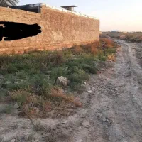فروش زمین ۳۰۰متری