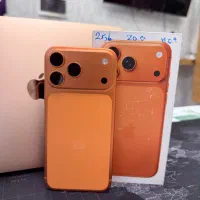 17 promax 256 zaa