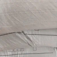 بذر شالی فجر مادر به شرط